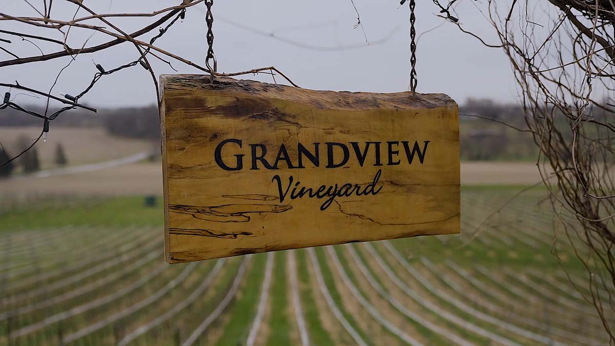 Wine Tasting Near Me Vineyard Lancaster PA | Grandview Vineyard