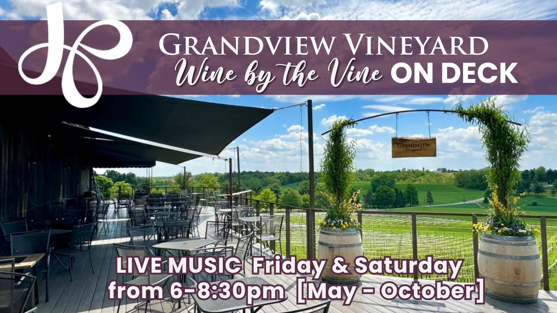 Wine By the Vine Deck Series (5)